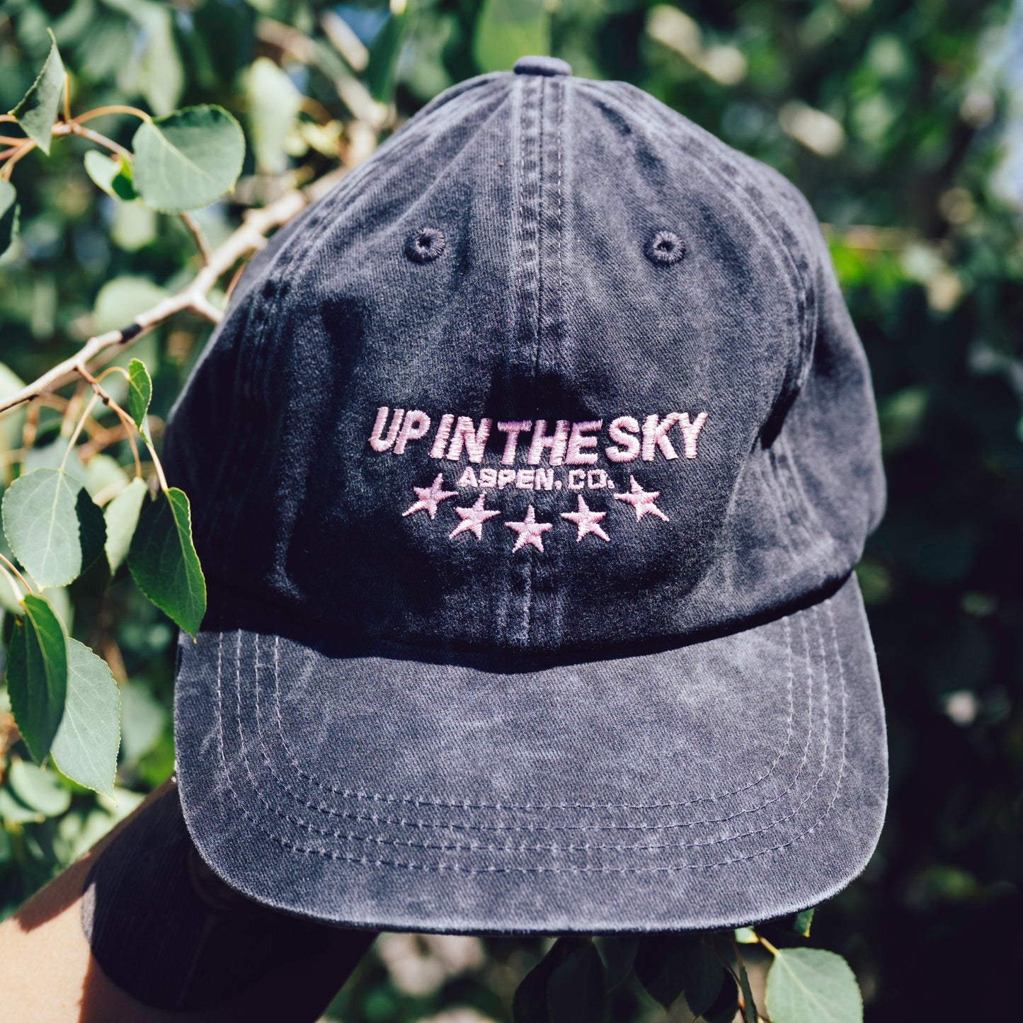 Stars Dad Hat